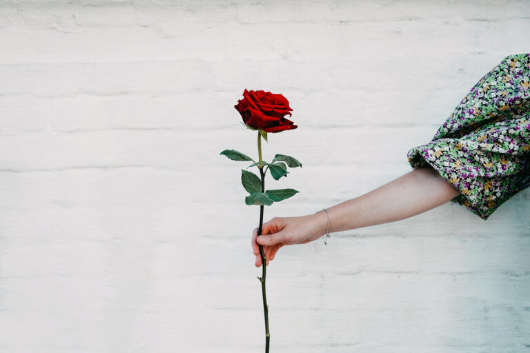 Mão segurando uma rosa vermelha.